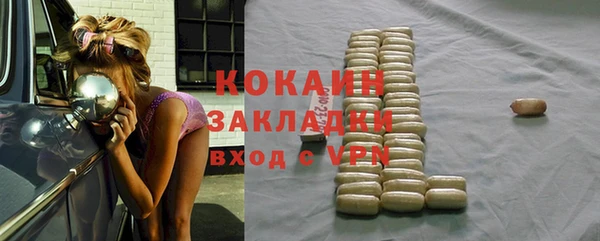 мдпв Ладушкин
