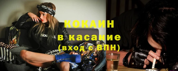 мдпв Ладушкин