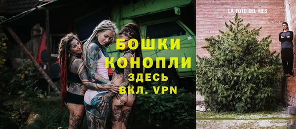 ПСИЛОЦИБИНОВЫЕ ГРИБЫ Липки