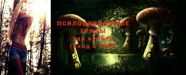 мдпв Ладушкин