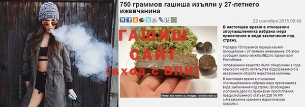 мдпв Ладушкин
