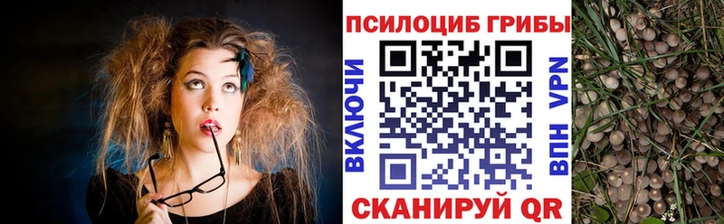 Псилоцибиновые грибы мицелий  Железногорск 