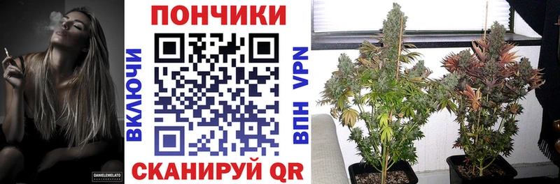 МАРИХУАНА OG Kush  магазин  наркотиков  Железногорск 